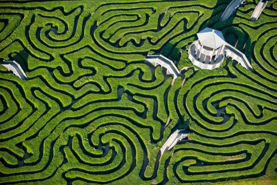 Maze-at-Longleat-england