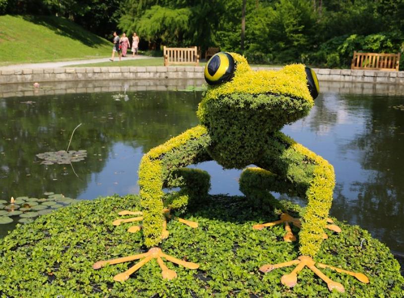 atlantabotanicalgardens11