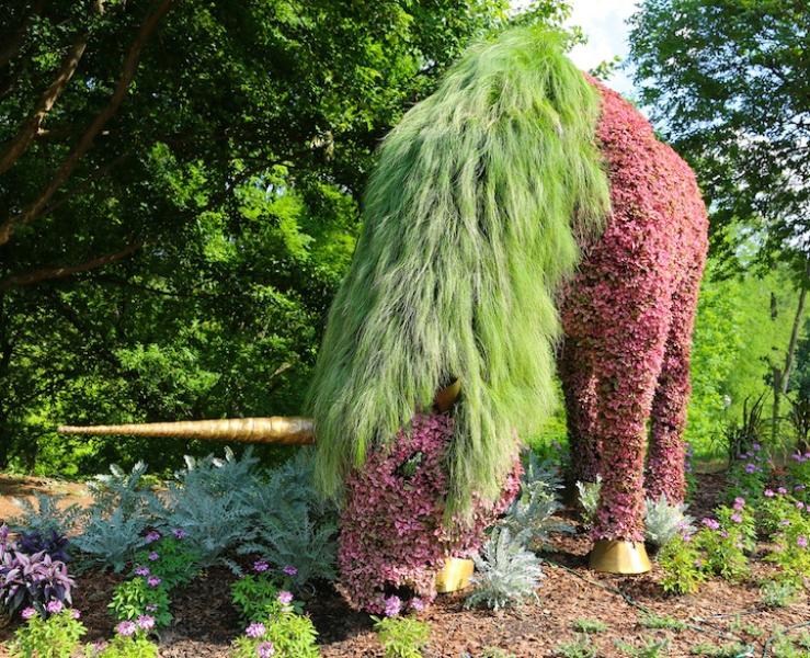 atlantabotanicalgardens14