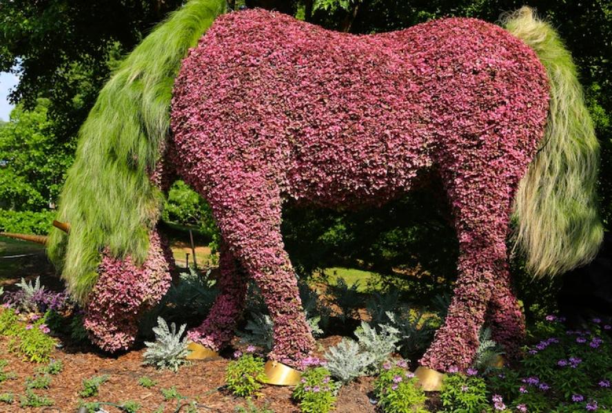 atlantabotanicalgardens15