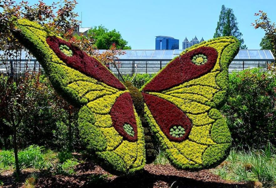 botanicalgarden02