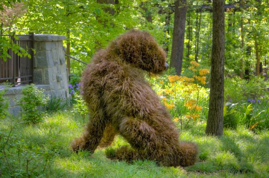 imaginaryworlds_shaggydog_byjoeyivansco_0