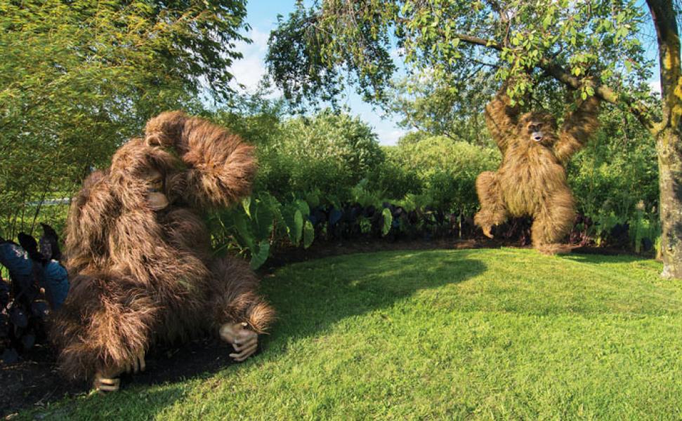 orangutanpair_websize_0