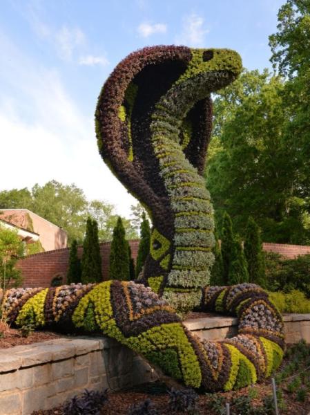 snake