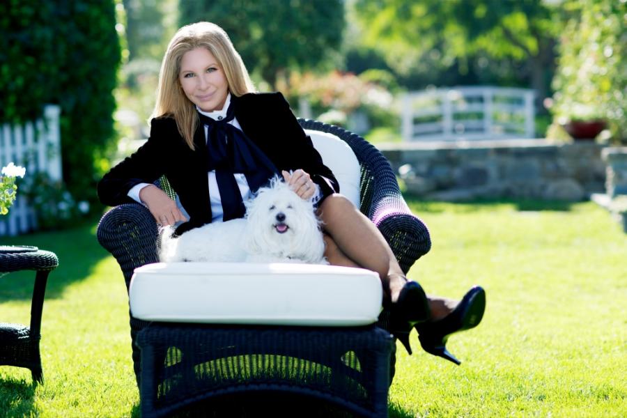 barbra1