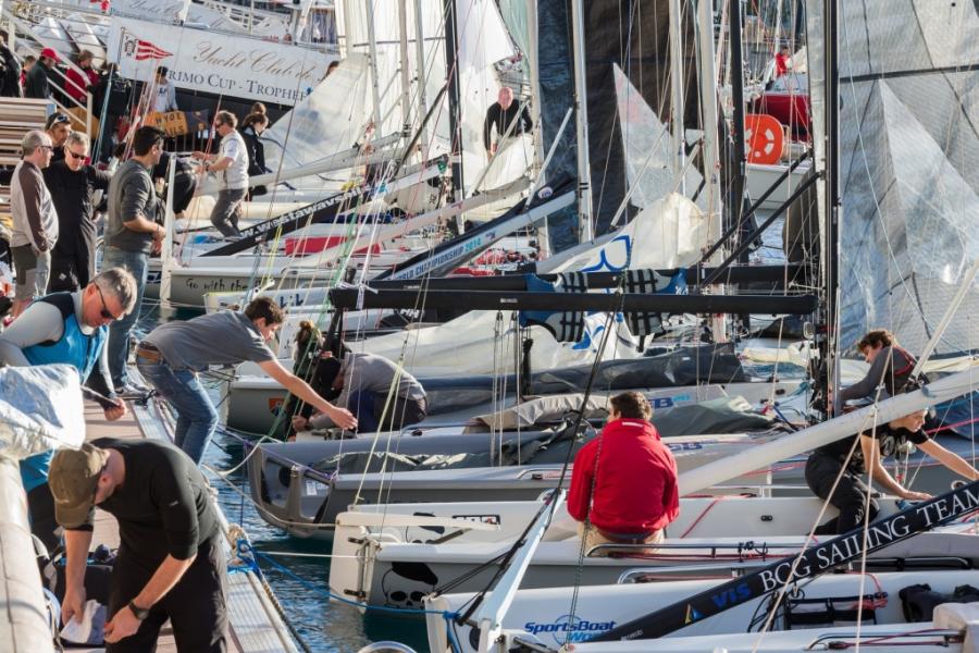 Primo Cup 2015
