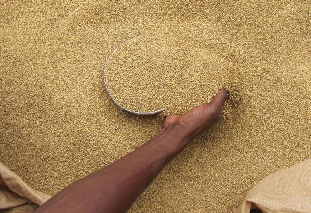 Combattere la malnutrizione